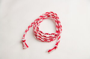 ˍȒgRiԐFƔFj˂̐El̎ gR uXbg