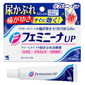 【第2類医薬品】小林製薬 フェミニーナUP 15g 4個セット【送料無料】尿かぶれ治療薬