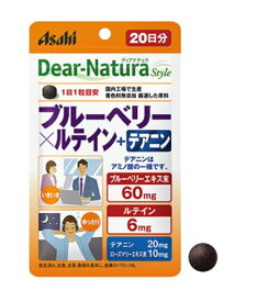 アサヒ ディアナチュラスタイル ブルーベリー×ルテイン+テアニン 20粒 10個セット【送料無料】