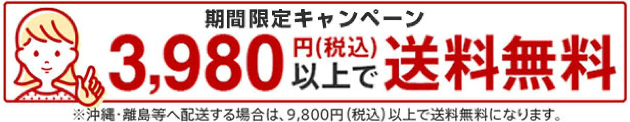3980円 送料無料