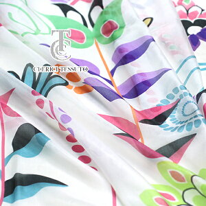 C^[ CLERICI VNV[ Hd POPt[`[bvvg It×rrbh}` V[I[_[Jbgn 10cmP] yRCPz