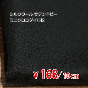 VNE[ Tehr[ ~jNR_C n[hnn Z~tH[}ubN N[I[_[Jbgn 10cmP] yRCPz