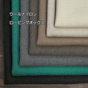 H~E[iC [rOIbNX БN \tgcC[h `n S7F H[I[_[Jbgn 10cmP] yRCPz