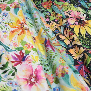 moda Rbg ʃ[gsAt[vg }`J[ S3F EUFLORIA `Floribunda` #M[I[_[Jbgn 10cmP] yRCPz