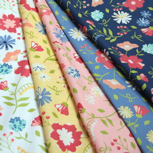 moda Rbg D POPt[vg ~bNXJ[ S5F SUNWASHED `COUNTRY MEADOW` #J[I[_[Jbgn 10cmP] yRCPz