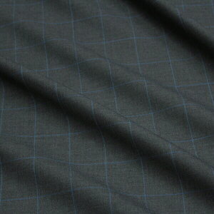 E[|GXe DX[cn 㝛H Oty[p[`FbN ۃ_[NO[u[ H[I[_[Jbgn 10cmP] yRCPz