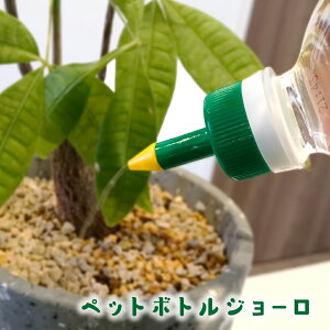 ybg{g ȈՃW[ Lbv ֗ObY ʔ  ėp IWi t  ϗtA   ybg{gW[ (s|Cg^Cv)