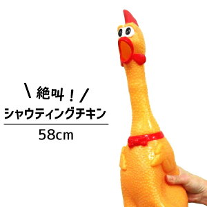 ԁI т`L CG[ SNS b   jg rbOTCY  G  VEeBO`L 58cm LTCY