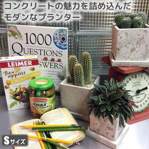 Aؔ  킢 RN[g lp ^  v^[ eRb^  K[fjO G  _g DULTON \bh v^[ L[u (STCY) [A655-758S]