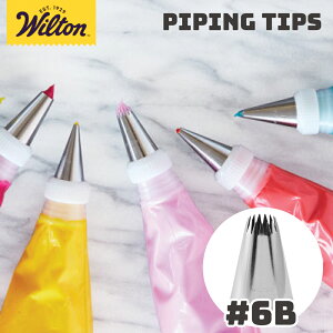 Wilton (EBg)  I[vX^[`bv #6B [418-6600]  i i N[ ACVO u َq XC[c  X`[ fR[V  OPEN STAR TIP o^