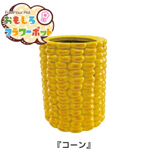 t[|bg R[ [RH-491]    Aؔ Jo[ K[fjO  ʔ G AJG y[J[z