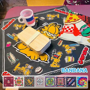 o_i nJ` K[tB[h xeB[ ^[gY  fUC LN^[ ObY G 킢 AJ AJG  BANDANA