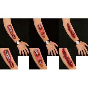 y[֑z S[A[X[u  A   nEB AJG yyΉz