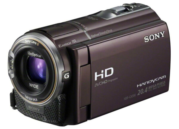 【中古】【1ヶ月保証】 ビデオカメラ ソニー SONY Handycam HDR-CX590V ボルドーブラウン