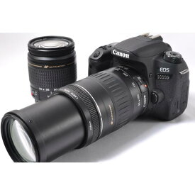 【中古】【1ヶ月保証】 デジタル一眼 CANON キヤノン EOS 9000D 標準＆望遠ダブルズームセット SDカード付き