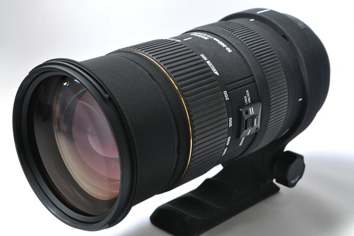 中古】シグマ 50-500mm F4-6.3APO EX DG HSM ニコン用 シグマ 【中古  