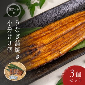 【送料無料】 四万十市産 うなぎ 蒲焼き 小分け 3個 セット