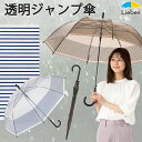 ビニール傘 おしゃれ ボーダー シンプル プリントジャンプ傘 60cm 透明/ブラウン 雨傘 レディース メンズ 女性 男性 ワンタッチ グラスファイバー骨 丈夫 LIEBEN-0647