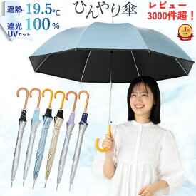 晴雨兼用傘 日傘 長傘 メンズ レディース 大きい 60cm 遮熱 遮光率100% UVカット率100% 焼かない 紫外線対策 熱中症対策 通勤 通学 外回り スポーツ観戦 男の日傘 おすすめ 人気 丈夫 ワンタッチ ジャンプ傘 無地 ひんやり傘 リーベン 0104 0102
