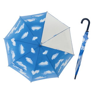 P qp LbY P 55cm  ^b` WvP j̎q ̎q w w JP J O  l[v[gt LOi w ʊw wZ  킢 