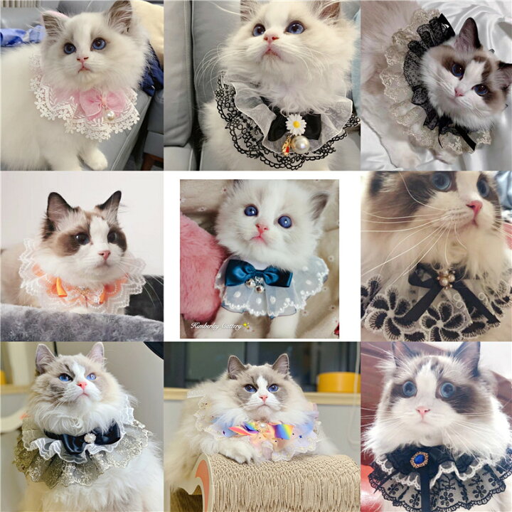 楽天市場】ペット用涎掛け 2枚セット 手作り ねこちゃん わんちゃん 33 
