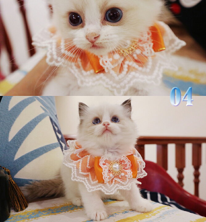 楽天市場】ペット用涎掛け 2枚セット 手作り ねこちゃん わんちゃん 33  