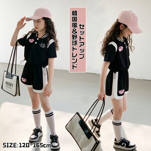 q ㉺Zbg ؍싅gh  fB[X W[W ZbgAbv Zp  vg [EFA 傫TCY {^_E ݕt  JWA  