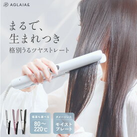 ＼期間限定 P20倍／22日迄【しっとり サラサラ ツヤ】 ストレート ヘアアイロン ストレートアイロン 海外対応 髪に優しい 痛まない ドライヤー カール 2way 1位 傷みにくい 24mm マイナスイオン 80℃ 220度 コテ ツヤ 美容師 旅行用 AG-013