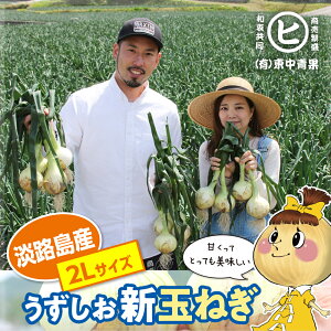 �ő唼�z�I�M�t�g�ɍœK�Ȉꓙ�i�ʂ˂��I�@�W�H���Y ���������V�ʂ˂��y2L�T�C�Y 3kg�`20kg�z������ ���������t�@�[�� �Ǐn �ʂ˂� �V�N �ʔK �^�}�l�M ���܂˂� �Â� ����i ��i�ʂ˂� �u