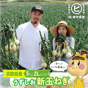 �V�ʔ̔��J�n3�����{���珇�������I�@�W�H���Y���������V�ʂ˂��y���������V�ʂ˂��@2L�@5kg �z������ ���������t�@�[�� �Ǐn �ʂ˂� �V�N �ʔK �^�}�l�M ���܂˂� �Â� ����i ��i�ʂ�