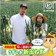 30%オフ！新玉発売記念セール！　淡路島産うずしお新玉ねぎ【訳あり うずしお新玉ねぎ 10kg】東中青果 う…
