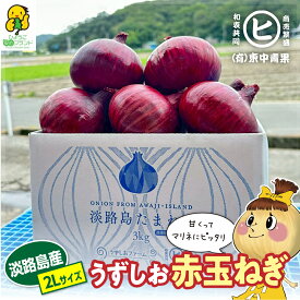 ＼超希少／　淡路島産赤玉ねぎ販売開始！ 【うずしお赤玉ねぎ 2L 3kg～10kg】東中青果 うずしおファーム 追熟 玉ねぎ 新鮮 玉葱 たまねぎ 甘い 限定品 絶品玉ねぎ ブランド玉ねぎ　ひょうご安心ブランド認証玉ねぎ　JGAP農場栽培玉ねぎ