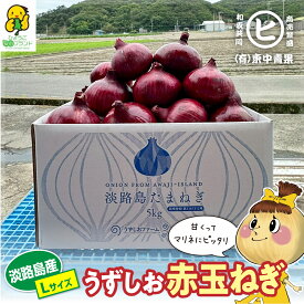 ＼超希少／　淡路島産赤玉ねぎ販売開始！ 【うずしお赤玉ねぎ Lサイズ 3kg～10kg】東中青果 うずしおファーム 追熟 玉ねぎ 新鮮 玉葱 たまねぎ 甘い 限定品 絶品玉ねぎ ブランド玉ねぎ　ひょうご安心ブランド認証玉ねぎ　JGAP農場栽培玉ねぎ