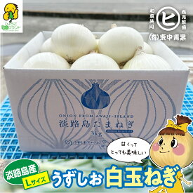 ＼超希少／　淡路島産白玉ねぎ販売開始！ 【うずしお白玉ねぎ Lサイズ 3kg～10kg】東中青果 うずしおファーム 追熟 玉ねぎ 新鮮 甘い 限定品 絶品玉ねぎ ブランド玉ねぎ　ひょうご安心ブランド認証玉ねぎ　JGAP農場栽培玉ねぎ