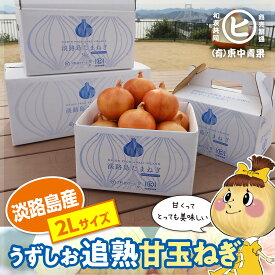 ギフトに最適な一等品玉ねぎ！　淡路島産うずしお追熟甘玉ねぎ【2Lサイズ 3kg～20kg】東中青果 うずしおファーム 玉ねぎ 新鮮 限定品 絶品玉ねぎ ブランド玉ねぎ　ひょうご安心ブランド認証玉ねぎ　JGAP農場栽培玉ねぎ