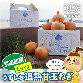 ★最大20%オフ★　ギフトに最適なブランド玉ねぎ 　淡路島産 うずしお追熟甘玉ねぎ【Lサイズ 3kg～20kg】東中青果 うずしおファーム 追熟 新鮮 甘い 限定品 絶品玉ねぎ ひょうご安心ブランド認証玉ねぎ　JGAP農場栽培玉ねぎ
