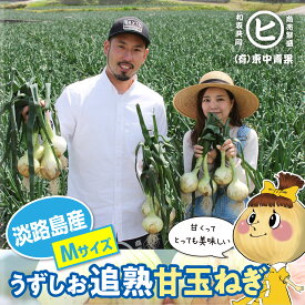 ギフトに最適ブランド玉ねぎ 　淡路島産うずしお追熟甘玉ねぎ【Mサイズ 3kg～20kg】東中青果 うずしおファーム 追熟 新鮮 甘い 限定品 絶品玉ねぎ ブランド玉ねぎ　ひょうご安心ブランド認証玉ねぎ　JGAP農場栽培玉ねぎ