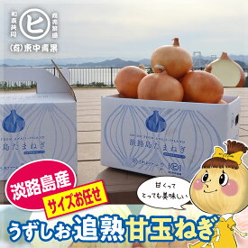 ギフトに最適一等品玉ねぎ！　淡路島産 うずしお追熟甘玉ねぎ【サイズお任せ 3kg～10kg】東中青果 うずしおファーム 甘い 限定品 絶品玉ねぎ ブランド玉ねぎ　ひょうご安心ブランド認証玉ねぎ　JGAP農場栽培玉ねぎ