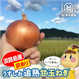 淡路島産 【うずしお追熟甘玉ねぎ 訳あり 3kg～10kg】東中青果 うずしおファーム 追熟 玉ねぎ 新鮮 玉葱 たまねぎ 甘い 限定品 絶品玉ねぎ ブランド玉ねぎ　ひょうご安心ブランド認証玉ねぎ　JGAP農場栽培玉ねぎ