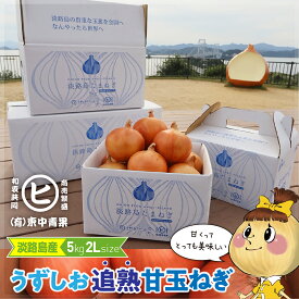 ギフトに最適な一等品玉ねぎ　淡路島産【うずしお追熟甘玉ねぎ　2L　5kg 】東中青果 うずしおファーム 追熟 玉ねぎ 新鮮 玉葱 たまねぎ 甘い 限定品 絶品玉ねぎ ブランド玉ねぎ　ひょうご安心ブランド認証玉ねぎ