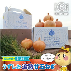 ギフトに最適一等品玉ねぎ！　淡路島産【うずしお追熟甘玉ねぎ　M　3kg】東中青果 うずしおファーム 追熟 新鮮 たまねぎ 甘い 限定品 絶品玉ねぎ ブランド玉ねぎ　ひょうご安心ブランド認証玉ねぎ　JGAP農場栽培玉ねぎ