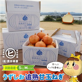 ギフトに最適な一等品玉ねぎ！　淡路島産【うずしお追熟甘玉ねぎ　M　5kg】東中青果 うずしおファーム 追熟 新鮮 玉葱 甘い 限定品 絶品玉ねぎ ブランド玉ねぎ　ひょうご安心ブランド認証玉ねぎ　JGAP農場栽培玉ねぎ