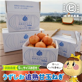 ギフトに最適な一等品玉ねぎ！　淡路島産 サイズお任せ【うずしお追熟甘玉ねぎ 2S〜3L 5kg】東中青果 うずしおファーム 新鮮 甘い 絶品玉ねぎ ブランド玉ねぎ　ひょうご安心ブランド認証玉ねぎ　JGAP農場栽培玉ねぎ