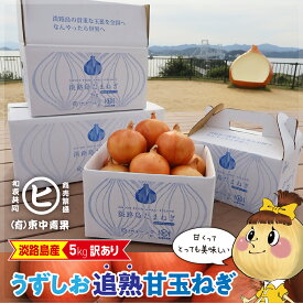 淡路島産うずしお追熟甘玉ねぎ【訳あり うずしお追熟甘玉ねぎ 5kg】東中青果 うずしおファーム 追熟 玉ねぎ 新鮮 玉葱 タマネギ たまねぎ 甘い 限定品 絶品玉ねぎ ブランド玉ねぎ ひょうご安心ブランド認証玉ねぎ