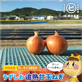 ギフトに最適な一等品玉ねぎ！　淡路島産 【うずしお追熟甘玉ねぎ　2S〜3L　10kg】東中青果 うずしおファーム うずしお追熟甘玉ねぎ 新鮮 甘い 限定品 絶品玉ねぎ ブランド玉ねぎ 　ひょうご安心ブランド認証玉ねぎ