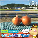 ゲリラセール20%オフ！ 10日限定！　淡路島産うずしお追熟甘玉ねぎ サイズお任せ【うずしお追熟甘玉ねぎ　2S〜3L　3kg】東中青果 うずしおファーム うずしお新玉ねぎ 追熟 新鮮 甘い 絶品玉ねぎ ブランド玉ねぎ ひょうご安心ブランド認証玉ねぎ　JGAP農場栽培玉ねぎ