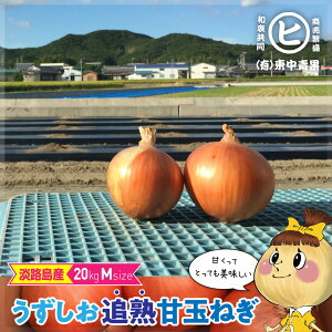 WHYǏnËʂ˂yǏnËʂ˂@M@20kgz@ t@[ Ǐn ʂ˂ VN ʔK ^}lM ܂˂ Â i iʂ˂ uhʂ˂@Ђ傤