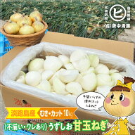 30%オフ！1日20箱まで！　淡路島産うずしお新玉ねぎ【うずしお新玉ねぎ むき/カット 10kg】むき・カット…