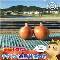 淡路島産【訳あり うずしお追熟甘玉ねぎ 10kg】東中青果 うずしおファーム 玉ねぎ 新鮮 甘い 訳あり 限定…