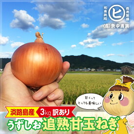 お試し価格！2000円ポッキリ！　淡路島産うずしお追熟甘玉ねぎ【訳あり うずしお追熟甘玉ねぎ 3kg】東中青果 うずしおファーム 追熟 玉ねぎ 新鮮 玉葱 タマネギ たまねぎ 甘い 限定品 絶品玉ねぎ ブランド玉ねぎ ひょうご安心ブランド認証玉ねぎ